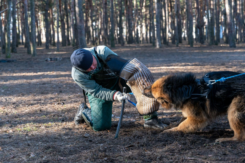 instructor training guard dog